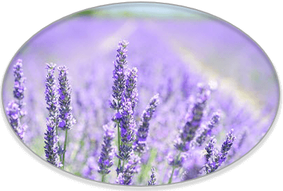 Frauenheilkunde, Kinderheilkunde, Psychologische Beratung, Therapeutische Frauenmassage, Kinderwunsch, Klassische Homöopathie, Darmsanierung mit Laborstuhldiagnostik, Breuss-Massage, Naturheilkunde